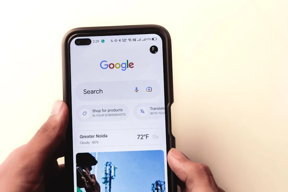 The practical search guide to cruzdid.com for curious readers